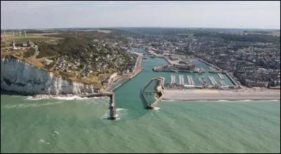 Si l'activité y est aujourd'hui réduite, c'était le grand port des Terre-Neuvas, premier port morutier de France jusqu'au milieu du XXe siècle. Il s'agit de :