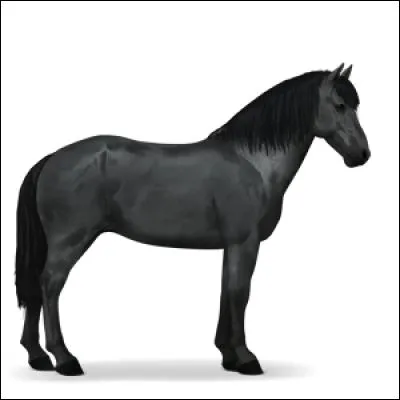 Quelle est cette race ?