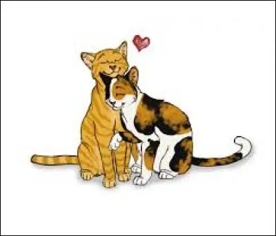 Sa première portée était de quatre chatons :