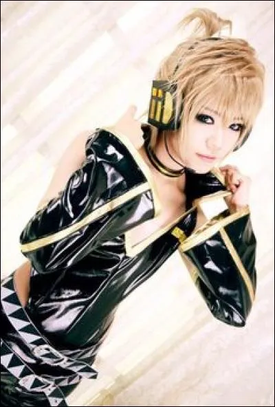 Quel est ce cosplay ?