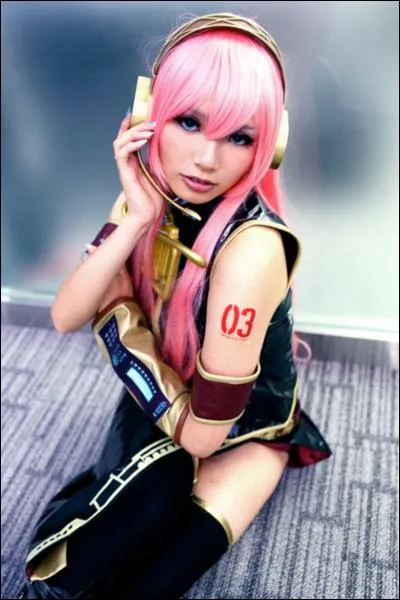Quel est ce cosplay ?