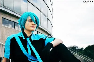 Quel est ce cosplay ?