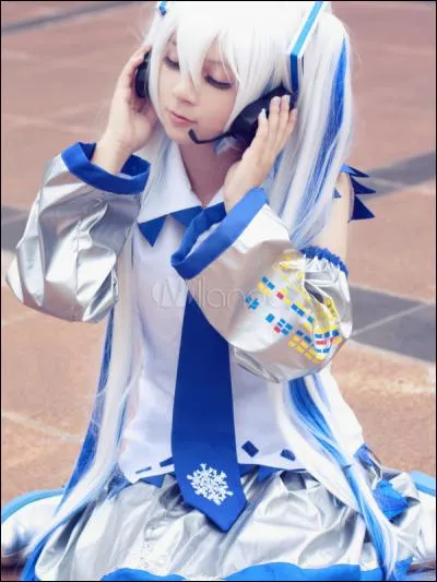 Quel est ce cosplay ?