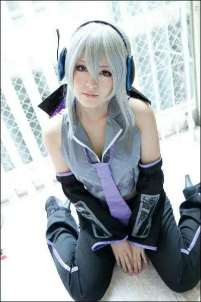 Quel est ce cosplay ?