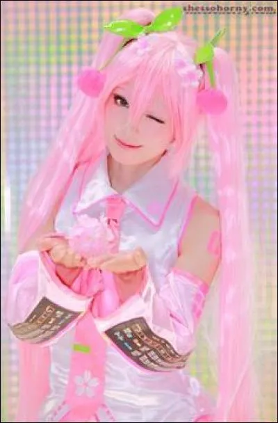 Quel est ce cosplay ?