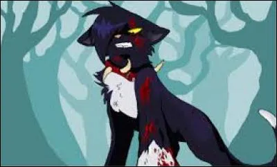 Il s'agit de l'assassin d'Étoile du Tigre. Qui est-ce ?