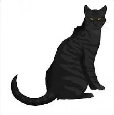 C'est un traître, qui est-ce ?