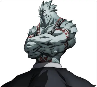 Il fait partie de la guilde de Tartaros. Qui est-ce ?