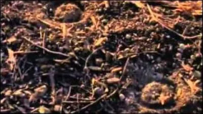 Dans l'épisode 6, quelles selles ont été volées ?