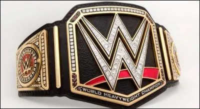 Reigns a-t-il déjà gagné cette ceinture ?