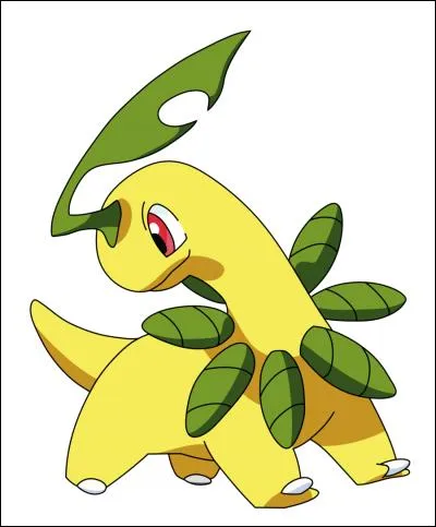 Quel est ce Pokémon ?