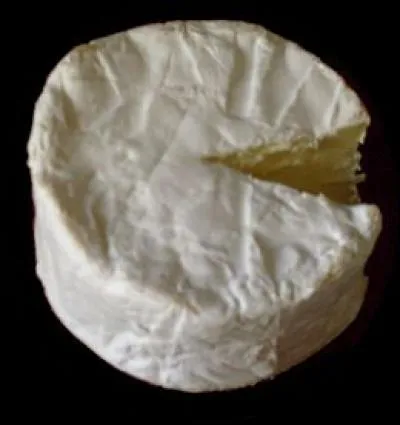 De quel animal le lait permettant la confection du Mottin charentais est-il extrait ?