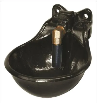 Par jour, un cheval boit en moyenne :