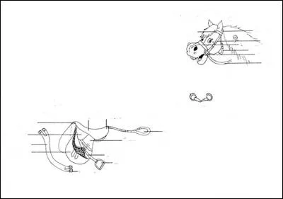 Vous devez nettoyer les cuirs et les aciers des harnachements de votre monture :