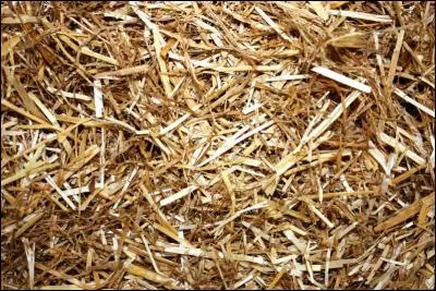 Une litière en bateau, c'est :