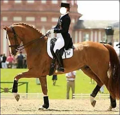 Qu'est-ce qui conditionne le tourner ?