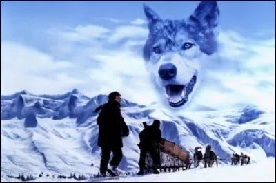 Qui a écrit le livre "Croc-Blanc" ?