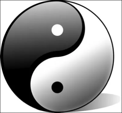 Dans la philosophie chinoise, le yin et le yang sont deux catégories complémentaires que l'on peut retrouver dans tous les aspects de la vie et de l'univers.