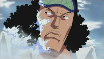 Comment s'appelle le fruit de Kuzan (Aokiji) ?