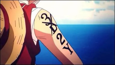 Quel est le sens de "3D2Y", le message codé laissé par Luffy à ses amis ?