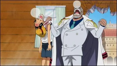 Lequel de ses entraînements spéciaux Garp n'a-t-il pas fait subir à Luffy ?