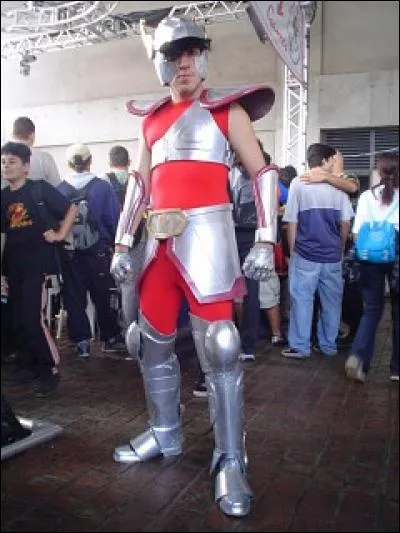 Quel est ce cosplay ?