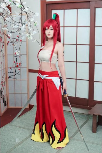 Quel est ce cosplay ?
