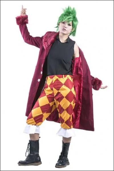 Quel est ce cosplay ?