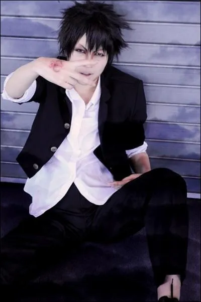 Quel est ce cosplay ?