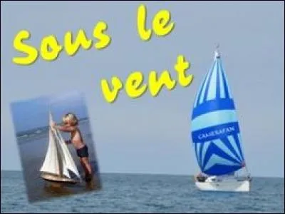 Quel chanteur interprète "Sous le vent" avec Céline Dion ?