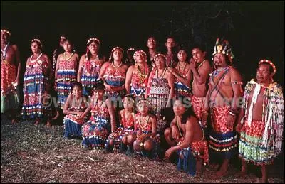 Quel nom les Européens ont-ils donné aux membres du peuple amérindien de la Guyane ?