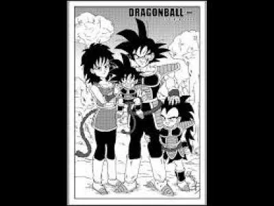 Qui est la mère de Goku ?