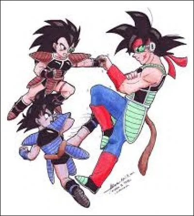 Qui sont les frères de Goku ?