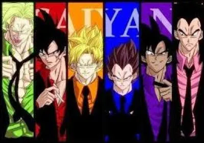 Qui sont ces Saiyens ?