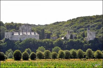 Perché sur une hauteur, il domine la Seine, en face de Quillebeuf. De quel château s'agit-il ?