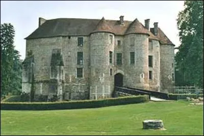 Dans la plaine du Neubourg, il subsiste d'importants vestiges de cette forteresse médiévale qui porte le nom d'une puissante famille seigneuriale. . De quel château s'agit-il ?