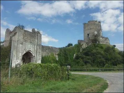 Ce château-fort a été édifié au XIe siècle sur la frontière du Vexin, dominant la vallée. De quel château s'agit-il ?