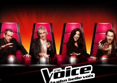 Dans la saison 1 de The Voice, les jurys étaient Garou, Jenifer, Florent Pagny et Louis Bertignac.
