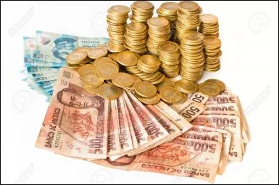 Comment traduire "je gagne beaucoup d'argent" ?