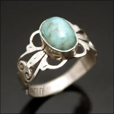 Que voyez-vous sur l'image ?