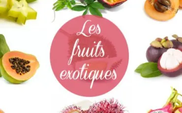 Quiz Fruits