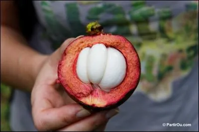 Ce fruit exotique peut être à la base de succulents sorbets. Originaire d'Indonésie, ce fruit des dieux est connu pour ses propriétés désaltérantes. Comment s'appelle-t-il ? (Indice : François Laurentier Garcin)