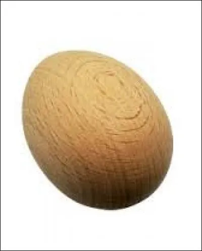 Dans quel domaine utilise-t-on cet œuf en bois ?