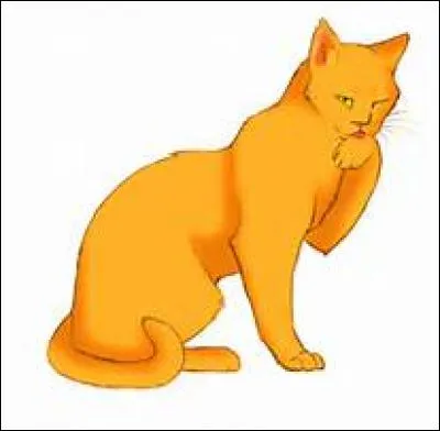 Qui est son apprenti ?