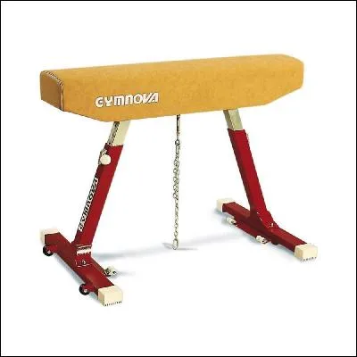 Dans quelle discipline utilise-t-on cette poutre ?