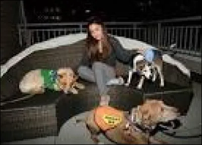 Comment ses quatre chiens s'appellent-ils ?