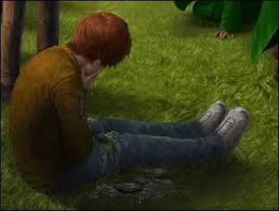 "Crache-Limaces", un sortilège qui ne donne pas de goût. Ne le faites que quand vous avez l'estomac fort. Pourtant, ces petites créatures dégoûtantes, qui sortaient de la bouche de Rupert (Ron), peuvent avoir un goût de...