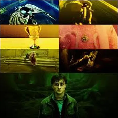 Comme vous le savez, Voldemort avait l'intelligence de cacher, certains de ses Horcruxes, dans des lieux différents. L'un d'eux était caché dans une caverne. Pour ce lieu, les animateurs se sont inspirés de trois lieux différents, parmi lesquels...