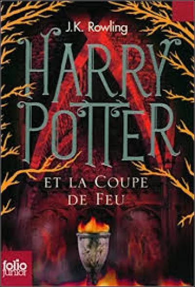 Le quatrième tome de la saga porte comme titre "Harry Potter et la Coupe de feu". C'est dans ce quatrième livre qu'a lieu le retour du grand et terrifiant Lord Voldemort. Au départ, et sachez-le chers amis, Rowling avait prévu un autre titre pour son quatrième roman. Selon vous, quel titre aurait-elle pu choisir ?
