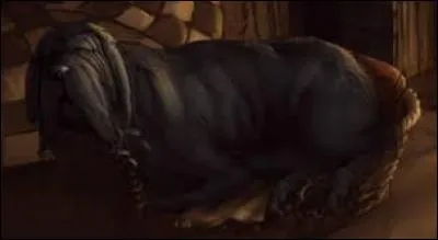 Reconnaissez-vous ce chien ? Il s'agit de Crockdur, le compagnon à quatre pattes d'Hagrid. C'est un Mâtin de Naples. Il possède une allure féroce. Cependant, c'est un vrai trouillard. Laissez-moi vous dire que, dans les deux premiers volets de la saga, le gentil Crockdur était joué par :
